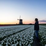 Oppdag Nederland: En Reise til Betagende Landskap og Kultur