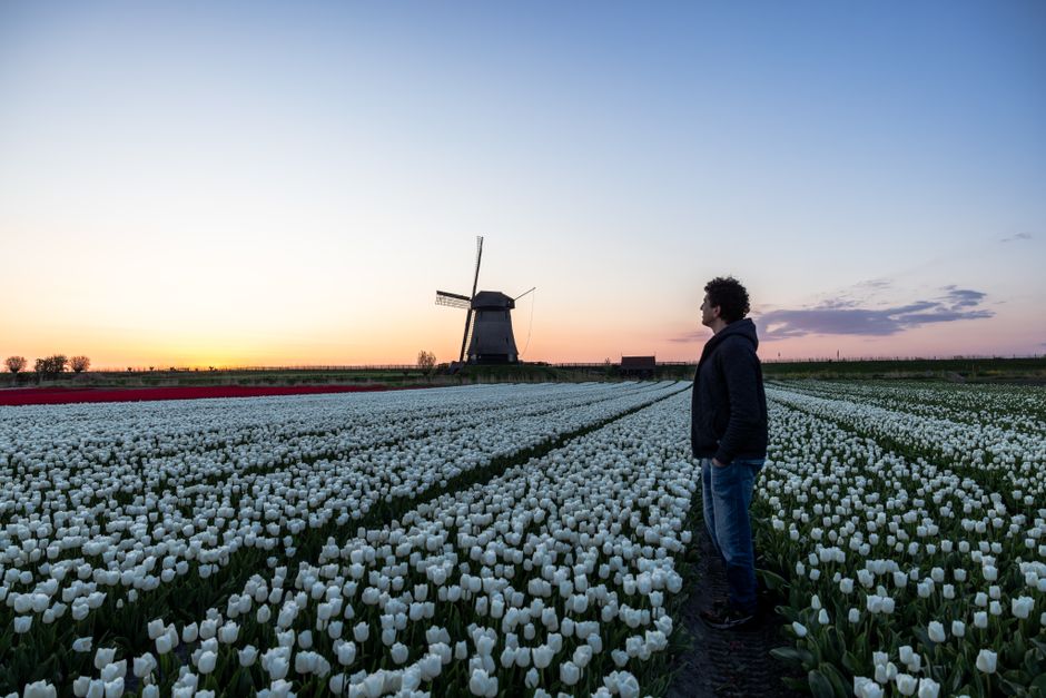 Oppdag Nederland: En Reise til Betagende Landskap og Kultur