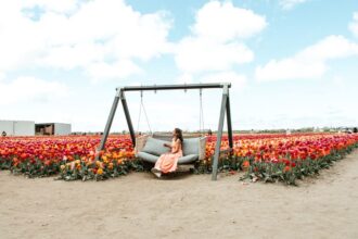 Oppdag Nederland: En Skjult Perle av Kultur og Natur