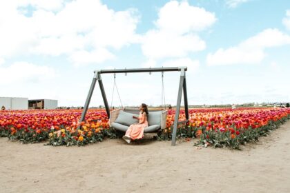 Oppdag Nederland: En Skjult Perle av Kultur og Natur