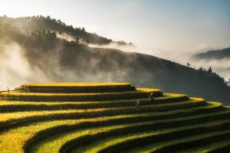 Oppdag Vietnam: En Reise gjennom Kultur og Natur