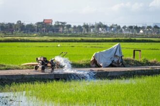 Oppdag Vietnam: En Reiserute Gjennom Landets Skjønnhet og Kulturelle Rikdom