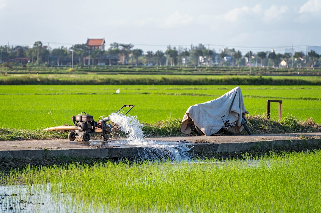 Oppdag Vietnam: En Reiserute Gjennom Landets Skjønnhet og Kulturelle Rikdom