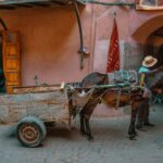 Oppdag Marokko: En Guide til Kultur, Mat og Severdigheter