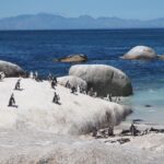 Sør-Afrika: En Fascinerende Reisemål med Uendelige Muligheter